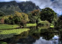 Jardins de Kirstenbosch 
