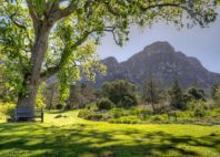 Jardins de Kirstenbosch 