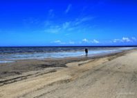 Jūrmala 