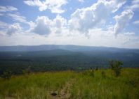 Forêt de Kakamega 
