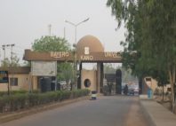 Kano 