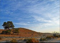 Kgalagadi 