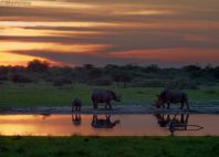 Khama Rhino Sanctuary 
