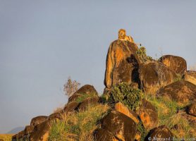 Kidepo Valley : un cadre naturel de toute beauté