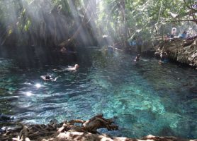Kikuletwa : découvrez ce coin naturel unique