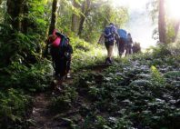 Kokoda 