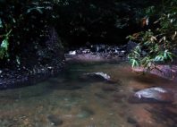 Kokoda 