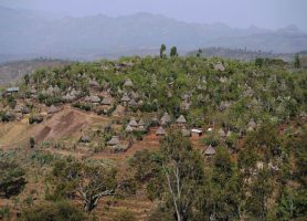 Konso : le joyau culturel de l’Éthiopie