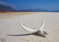 Lac Assal 