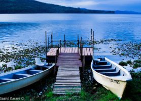 Lac Naivasha : découvrez cette référence ornithologique