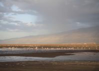 Lac Natron 