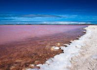 Lac Rose 