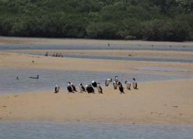 Lagune de la Somone : l’eldorado des vacanciers