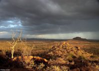 Plateau de Laikipia 