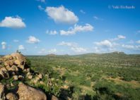 Plateau de Laikipia 