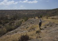 Plateau de Laikipia 