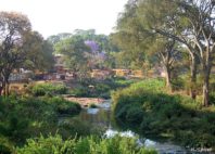 Lilongwe 