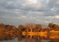 Parc national de Liwonde 