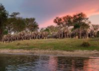 Parc national de Liwonde 