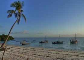 Île de Mafia : découvrez la magnificence de cette île