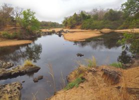 Mare aux Hippopotames : une zone humide riche de biodiversité