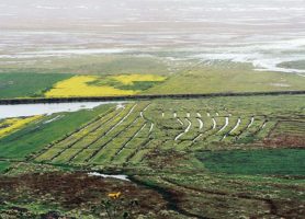 Marécage de Kuk : un fantastique site témoin