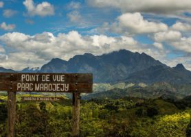 Marojejy : offrez-vous ce paysage à couper le souffle