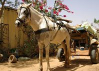 Mbour 