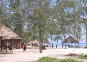 Mbudya : découvrez ce paradis aux attractions exceptionnelles