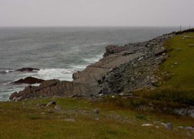 Mistaken Point : le merveilleux reflet de notre genèse