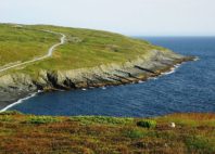 Mistaken Point 