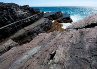 Mistaken Point 