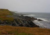 Mistaken Point 
