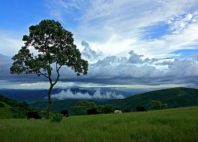 Mont Cameroun 