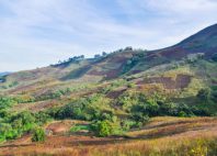 Mont Cameroun 