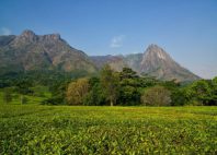 Mont Mulanje 