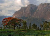 Mont Mulanje 