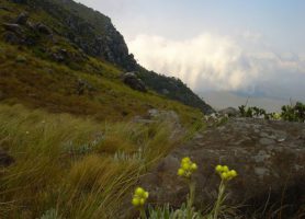 Mont Nyangani : une beauté naturelle et des attractions inouïes