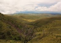 Mont Nyangani 
