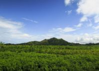 Mont Passot 