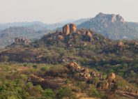 Monts Matobo 