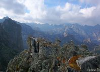 Monts Rwenzori 