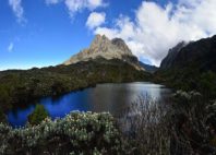 Monts Rwenzori 