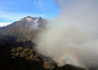 Monts Rwenzori 