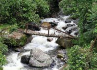 Monts Rwenzori 