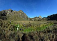 Monts Rwenzori 