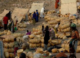 Mopti : découvrez cette cité au cœur de l’histoire