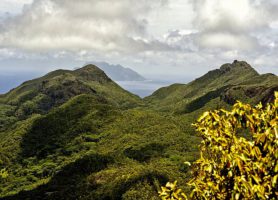 Morne Seychellois : accédez au toit de l’île de Mahé
