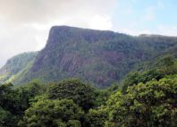 Morne Seychellois 