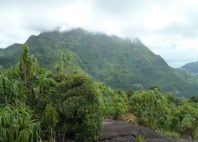 Morne Seychellois 